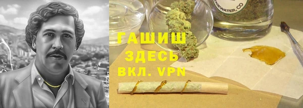 стаф Абаза