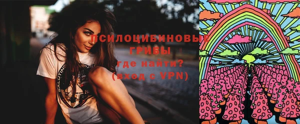 спиды Алзамай