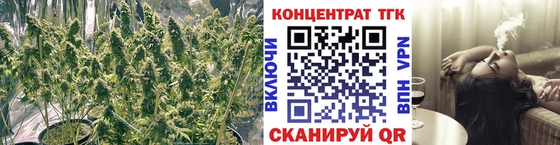 ТГК Wax  Балаково 