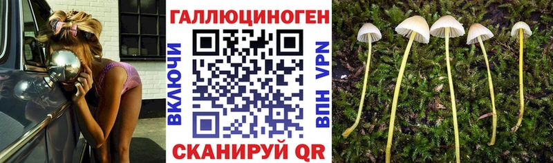 Галлюциногенные грибы Psilocybine cubensis  Балаково 